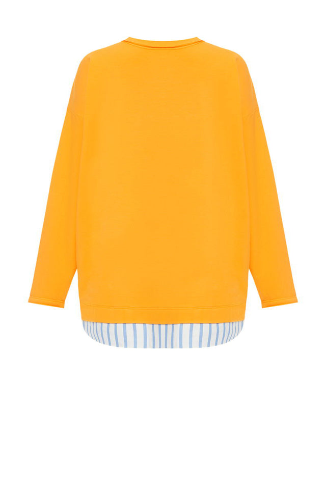 Longsleeve, stripes decor back view