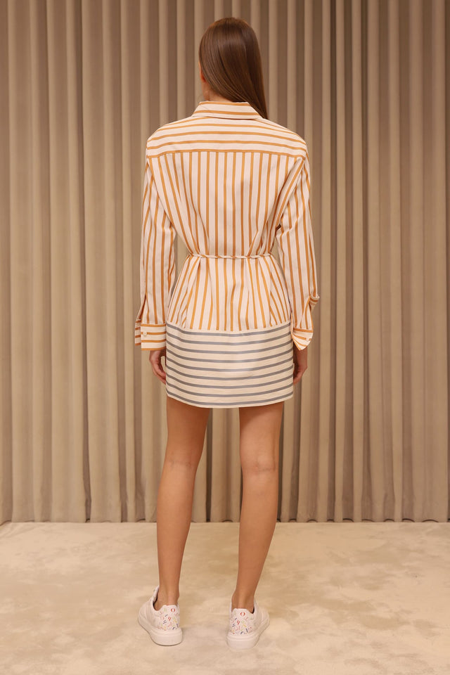 Model in Striped shirt dress back view